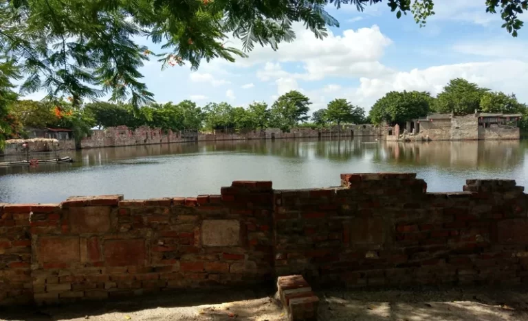 x1naeu7pijb8eq1leequ