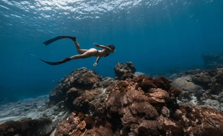 yp2oesaoe40fbrkrslof